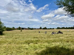 Fields Behind Garden- click for photo gallery